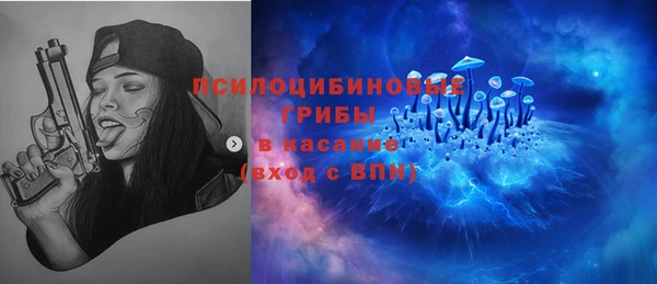 а пвп мука Алзамай